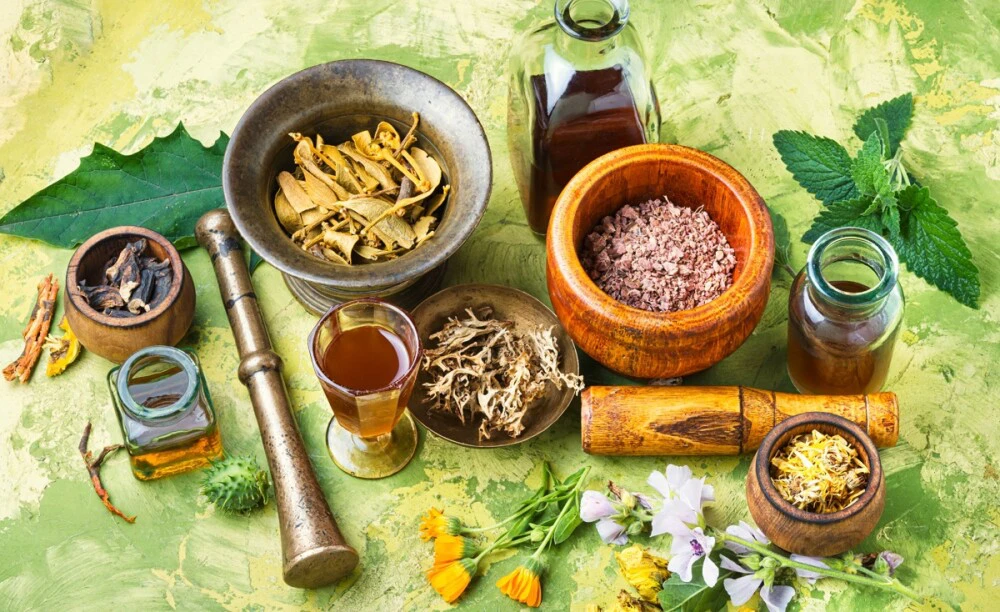 Tumbuhan Obat Dalam Pengobatan Tradisional Dan Modern