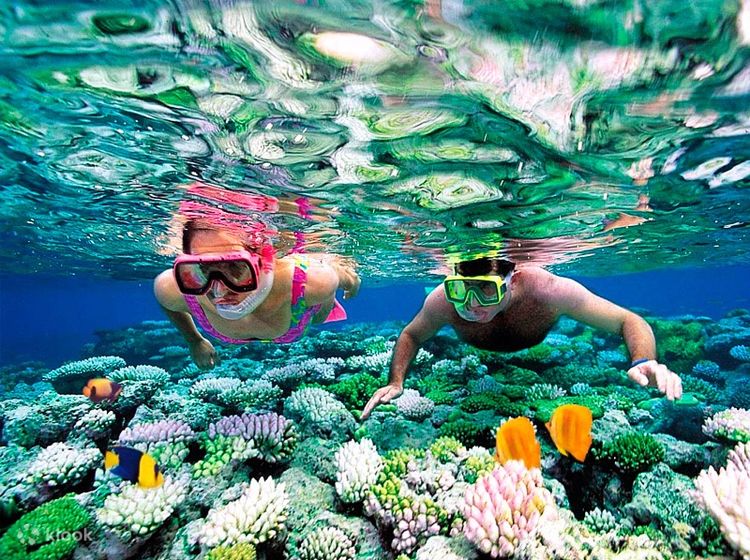 Manfaat Snorkeling Kenikmatan Dan Kebugaran Di Bawah Air