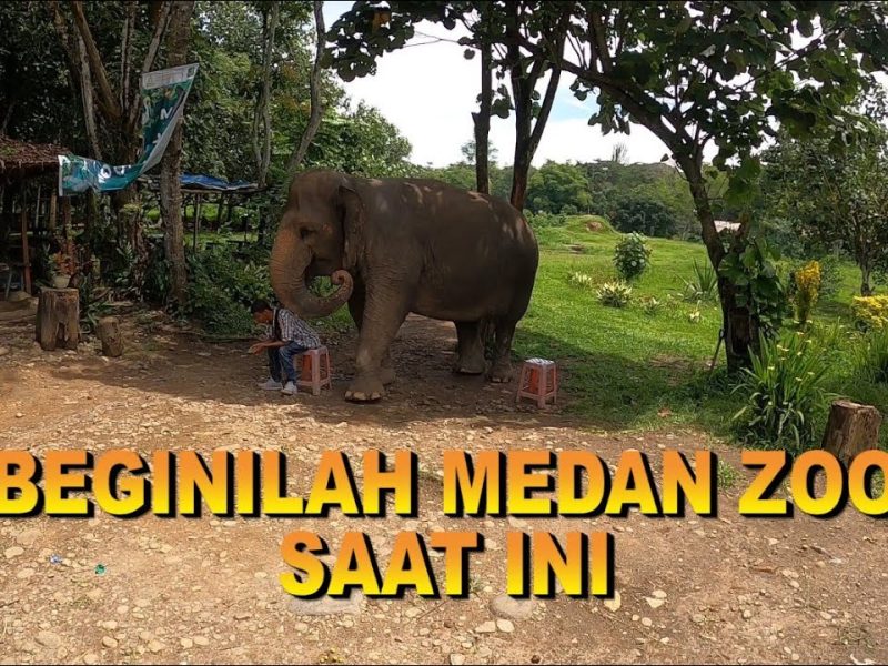 Kondisi Medan Zoo