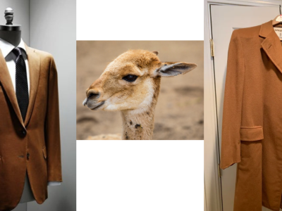 Keistimewaan Kain Vicuña