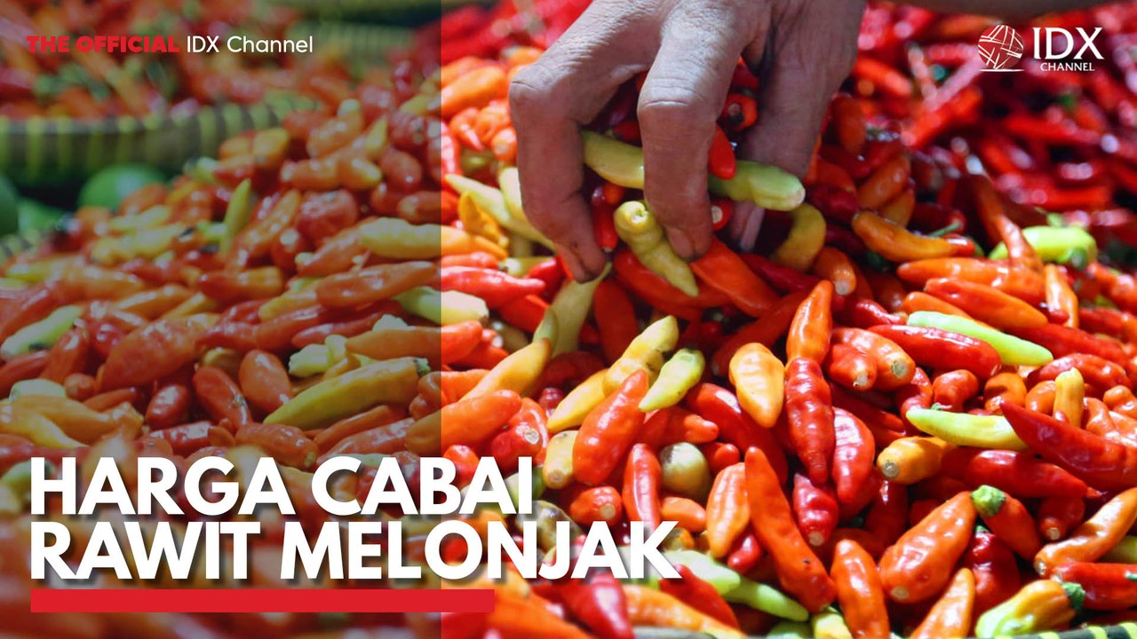 Harga Cabai Kembali Melonjak