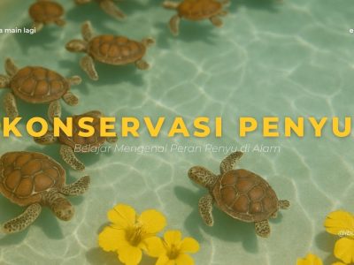 Pentingnya Konservasi Penyu