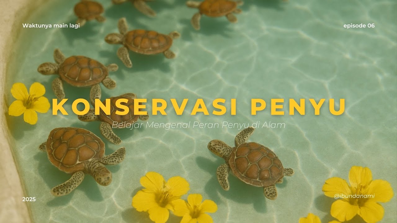 Pentingnya Konservasi Penyu