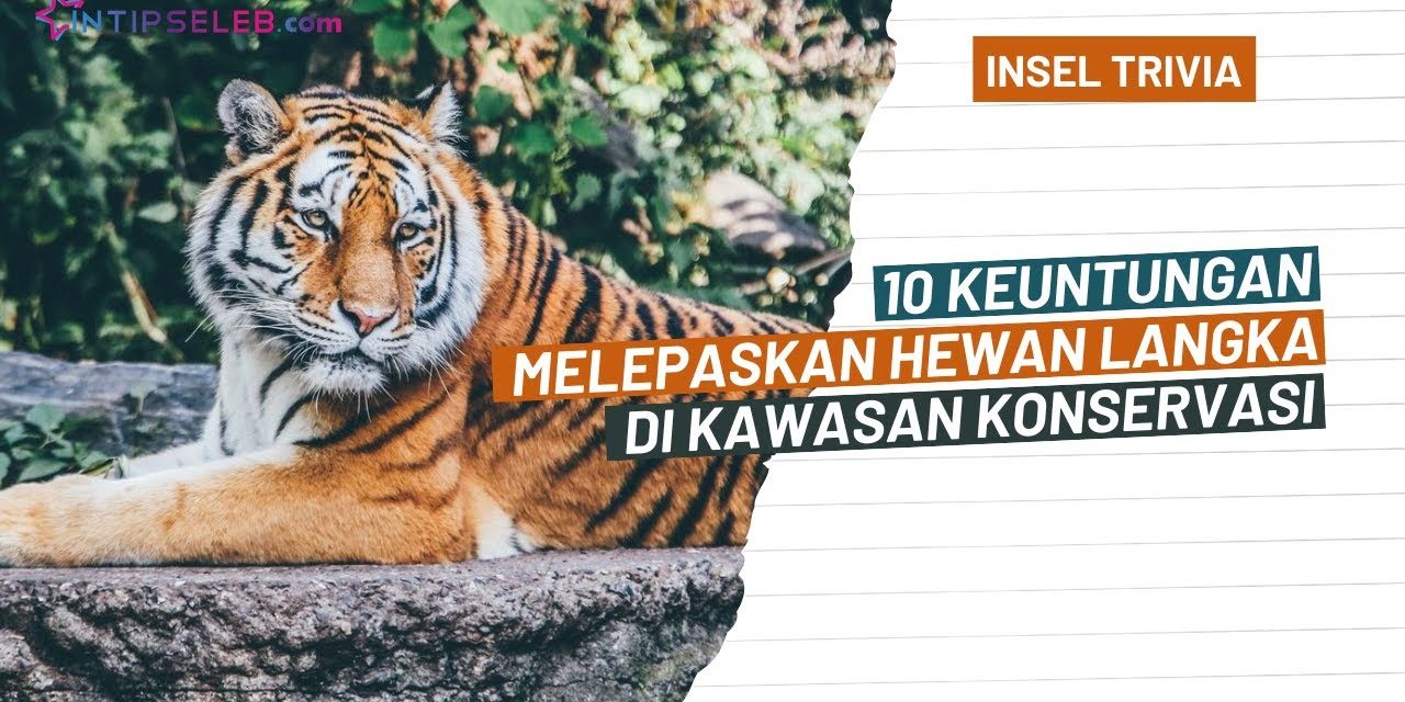 Upaya Konservasi Satwa Langka Di Tengah Ancaman Kepunahan