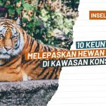 Upaya Konservasi Satwa Langka Di Tengah Ancaman Kepunahan
