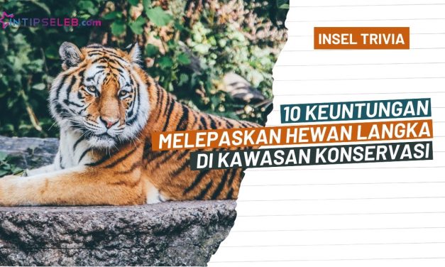 Upaya Konservasi Satwa Langka Di Tengah Ancaman Kepunahan