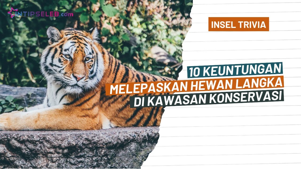 Upaya Konservasi Satwa Langka