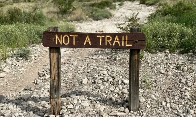 Etika Pendakian: Menjaga Alam Dalam Setiap Petualangan