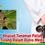 Jarang Diketahui, Ini Dia Manfaat Patah Tulang Bagi Kesehatan