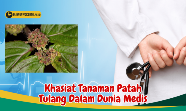 Jarang Diketahui, Ini Dia Manfaat Patah Tulang Bagi Kesehatan