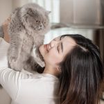 Memelihara Kucing Punya Manfaat Katanya Bisa Mengurangi Stres