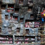 Sejarah Gua Lemo Situs Pemakaman Batu Tertua Di Tana Toraja