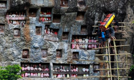 Sejarah Gua Lemo Situs Pemakaman Batu Tertua Di Tana Toraja