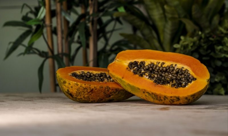 Peran Biji Pepaya