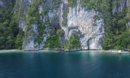 Pesona Tebing Batu Hatupia Di Maluku Tengah
