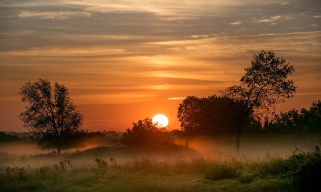 Kota Banyuwangi Dengan Julukannya “Sunrise Of Java”