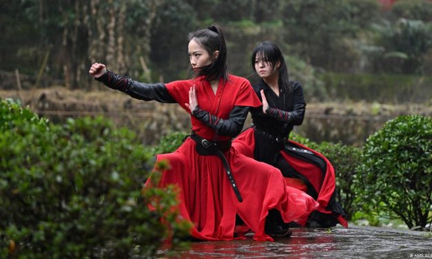 Kung Fu Memadukan Berbagai Gaya Bertarung Yang Menantang