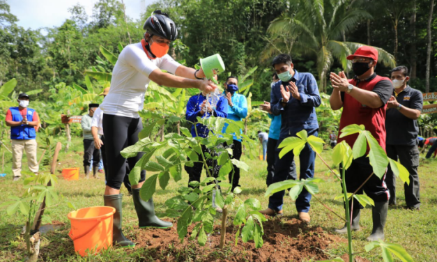 Upaya Konservasi Hutan, Untuk Mengamankan Masa Depan Bumi