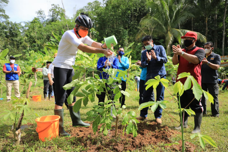 Upaya Konservasi Hutan