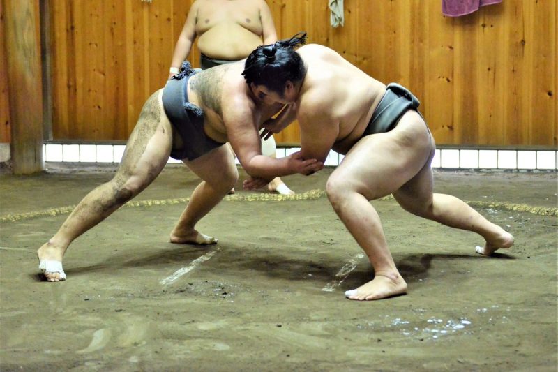 Olahraga Sumo