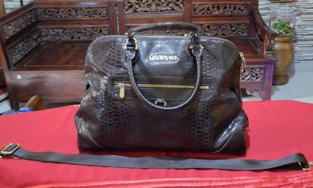 Tas Kulit Buaya Kecantikan Dan Keunikan Di Balik Keanggunan